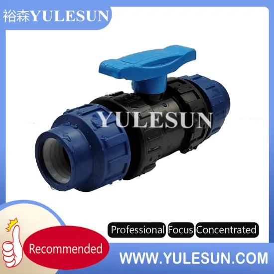 Plastic HDPE PE Quick Connection Compression Ball Valve PPR PVC PE UPVC Double Union Two Piece Ball Valve