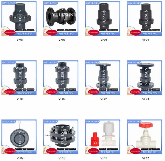 Plastic Swing Check Valve PVC Double Flange Swing Check Valve UPVC Flanged End Check Valve